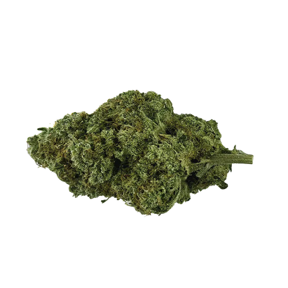 Close-up of a single dense bud of Organic Mango Hashplant shown on white, highlighting its green, frosty trichomes and visible stem.