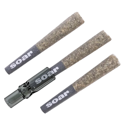 Three angled pre-rolls with gray "soar" tips arranged on white background showing the textured herb in the cones, labeled 187 Kush PR 3 x 0.5 g