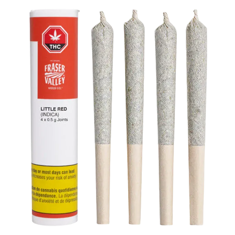 Studio-lit front view of Fraser Valley Little Red PR 4 x 0.5 g showing a tall red-and-white tube beside four vertical pre-rolled joints.