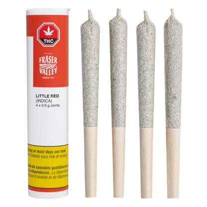 Studio-lit front view of Fraser Valley Little Red PR 4 x 0.5 g showing a tall red-and-white tube beside four vertical pre-rolled joints.