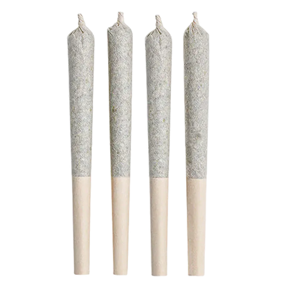 Close-up front view of four upright Little Red PR 4 x 0.5 g pre-rolled cones with twisted tips and light wooden filters against a white background