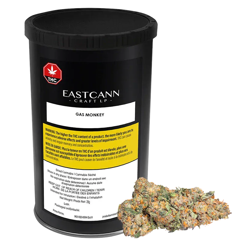 Front-facing view of the black Eastcann Craft LP Gas Monkey canister with a white label and a cluster of green-orange buds at its base.