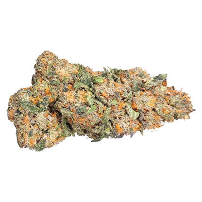 Close-up top view of a frosty Gas Monkey cannabis bud showing green and purple leaves with vibrant orange pistils on a white background.