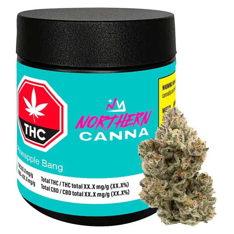 Front three-quarter view of a turquoise jar labeled Northern Canna Pineapple Bang with a cannabis bud propped against it.