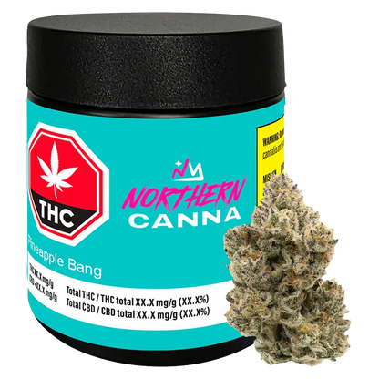 Front three-quarter view of a turquoise jar labeled Northern Canna Pineapple Bang with a cannabis bud propped against it.