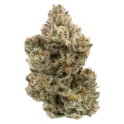 Close-up front view of a single frosty Pineapple Bang cannabis bud, showing dense green and purple leaves with orange hairs against a white background.