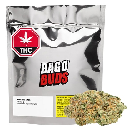 Front view of a silver foil pouch and a single bud, labeled Bag O' Buds Tropicanna Tangie, with a red THC octagon at the top left.