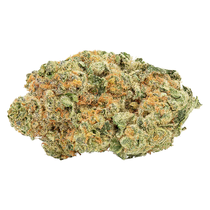 Close-up of a single dense "Tropicanna Tangie" bud showing frosty trichomes and bright orange hairs on green leaves against a white background