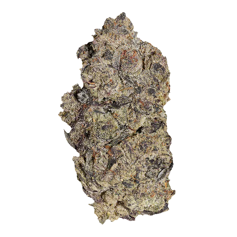 Close-up top-down view of a single Gas Basket bud showing dense trichome-covered green and purple nugs against a white background