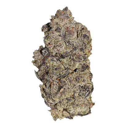 Close-up top-down view of a single Gas Basket bud showing dense trichome-covered green and purple nugs against a white background