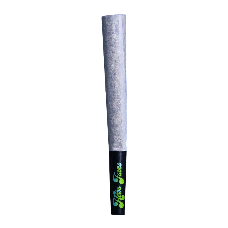 Single upright pre-roll photographed against a white background, showing the paper cone and black filter bezel labeled "Blueberry Jam PR 3 x 0.5 g".