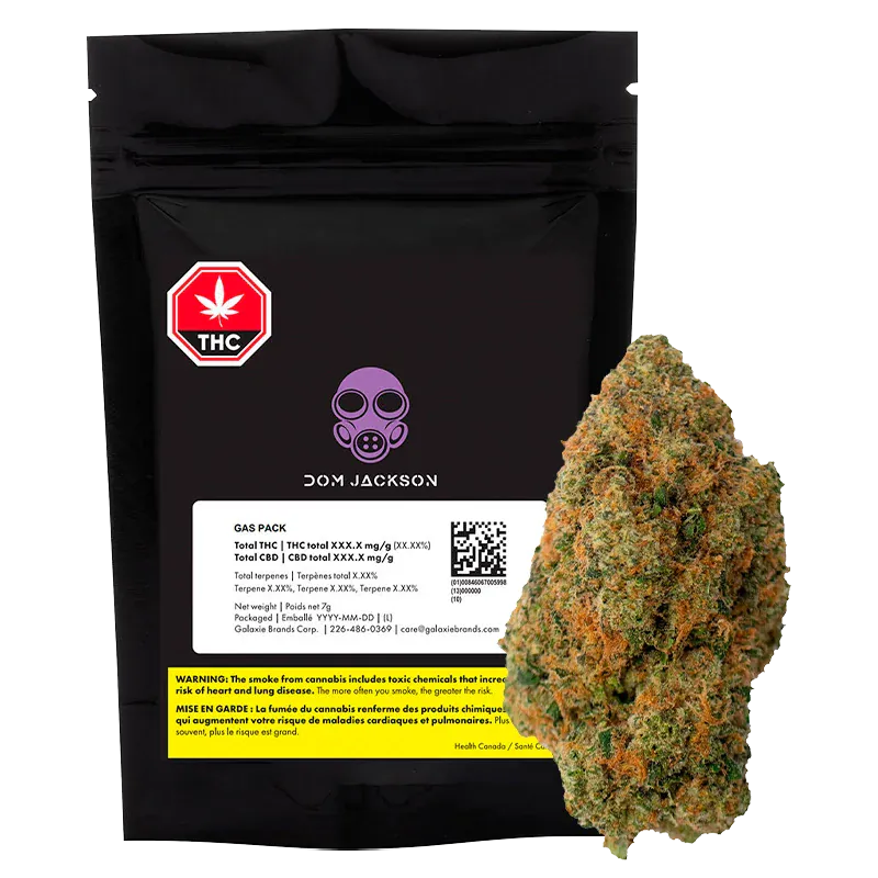 Front view of the Dom Jackson Gas Pack, a black resealable pouch with purple gas mask logo displayed beside a close-up cannabis bud.