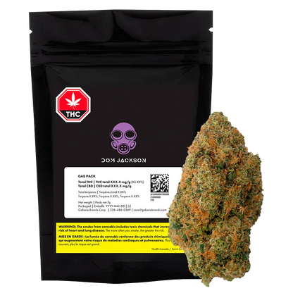 Front view of the Dom Jackson Gas Pack, a black resealable pouch with purple gas mask logo displayed beside a close-up cannabis bud.