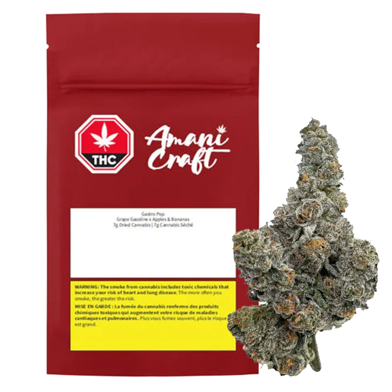 Front-facing red pouch with an Amani Craft logo beside a frosty, green-gray bud labeled Gastro Pop, shown against a white background.