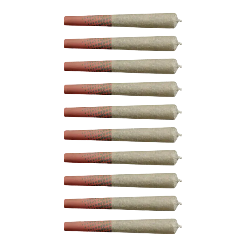 Grid of ten horizontally aligned pre-rolled joints photographed from above, each with a red patterned tip — Purple Cherry Punch PR 10 x 0.5 g.