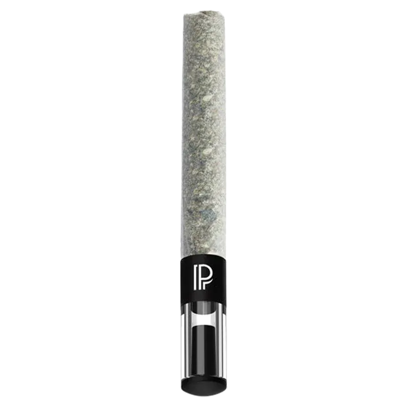 Straight-on view of a single Blue Zushi PR 1 x 2 g pre-roll with a textured gray paper and black mouthpiece bearing a white "P" logo.