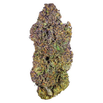 Top-down close-up of a single Royal Dive #6: VantaBlack cannabis bud showing dense purple, green, and orange trichome-covered nugs on a white background
