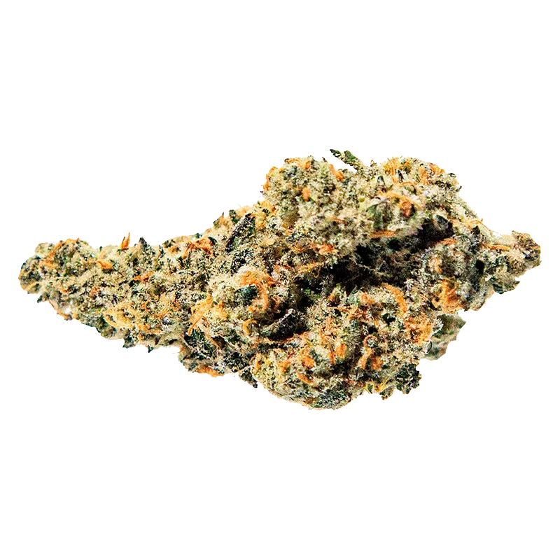 Close-up of a single frosty nugget of Tropical Meltdown showing green, orange, and trichome-dusted textures against a white background.