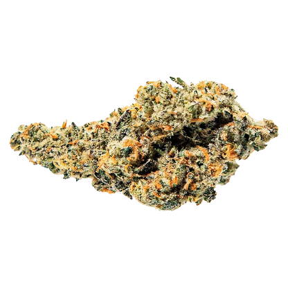 Close-up of a single frosty nugget of Tropical Meltdown showing green, orange, and trichome-dusted textures against a white background.