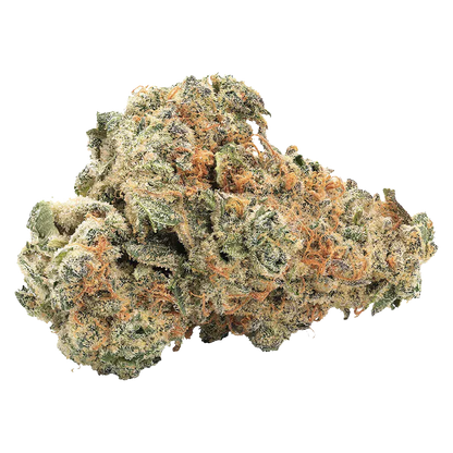 Close-up front view of a frosty, orange-haired bud of GMO Kush Indica against a white background.