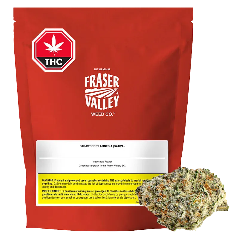 Strawberry Amnesia: Lowest Price | Canna Cabana