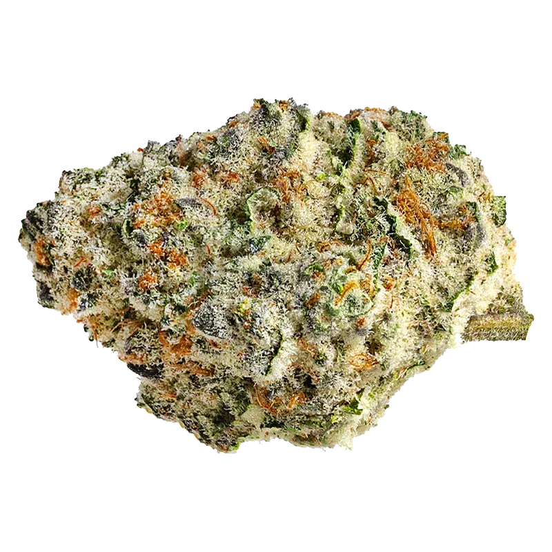 Close-up of a frosty, orange-tipped bud of Strawberry Amnesia against a white background, shown from a slight top angle.