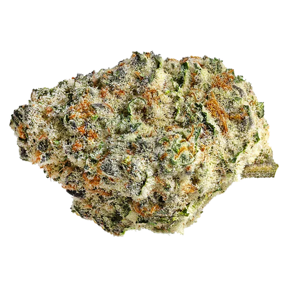 Close-up of a frosty, orange-tipped bud of Strawberry Amnesia against a white background, shown from a slight top angle.