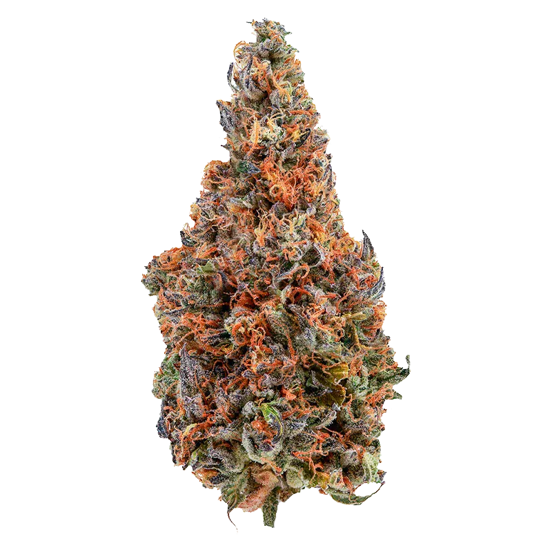 Cheers Cannabis 3.5 g C4 Flower