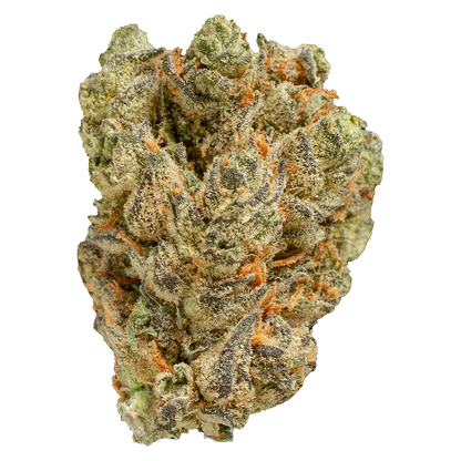 Close-up of a single Peach Tree bud showing dense, frosty trichomes and vibrant orange hairs against a white background
