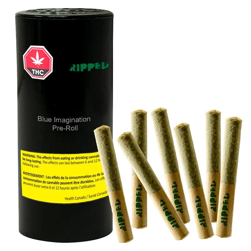 Front-lit image of a black cylindrical canister and seven standing pre-rolls labeled "Blue Imagination PR 7 x 0.5 g" arranged in a slight arc.