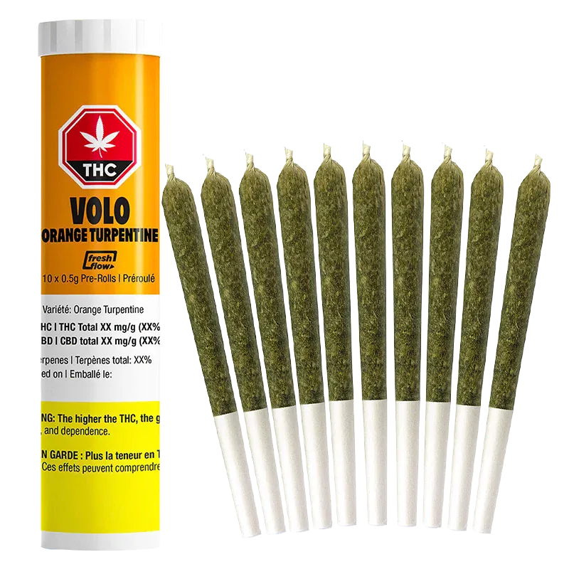 Right-side view of ten pre-rolled joints arranged upright beside a left-standing Orange Turpentine PR 10 x 0.5 g labeled tube.