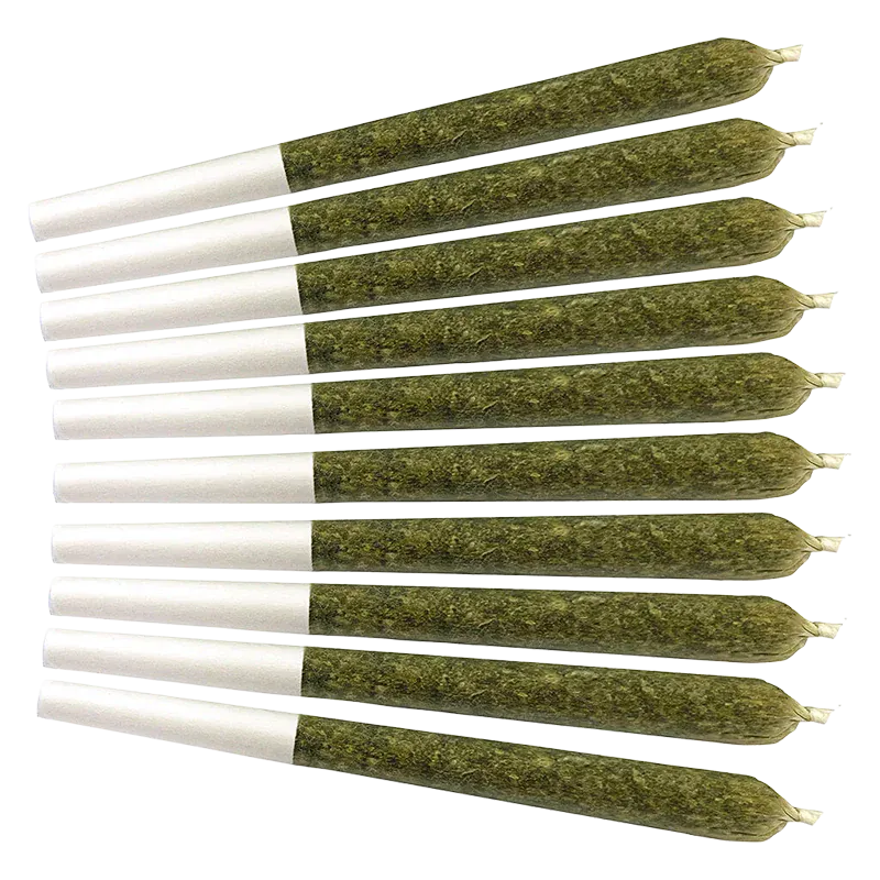 Top-down view of ten neatly aligned Orange Turpentine PR 10 x 0.5 g greenish rolled joints with white filter tips against a white background