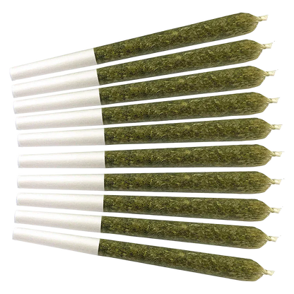 Top-down view of ten neatly aligned Orange Turpentine PR 10 x 0.5 g greenish rolled joints with white filter tips against a white background