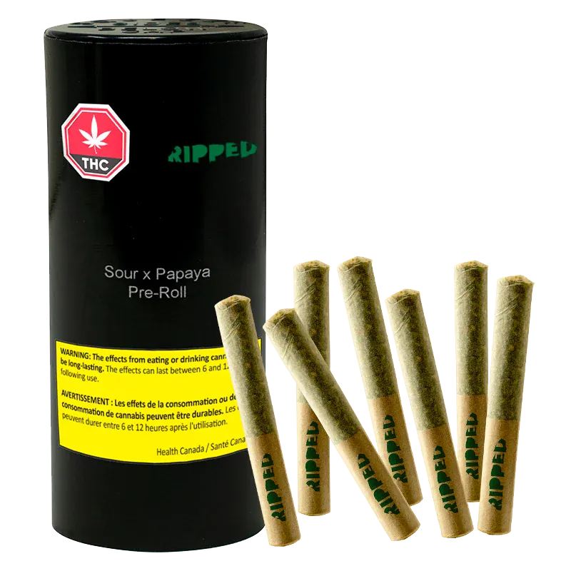 Studio-lit front view of a black cylinder and seven jointed pre-rolls labeled "Sour x Papaya PR 7 x 0.5 g" arranged on a white background.