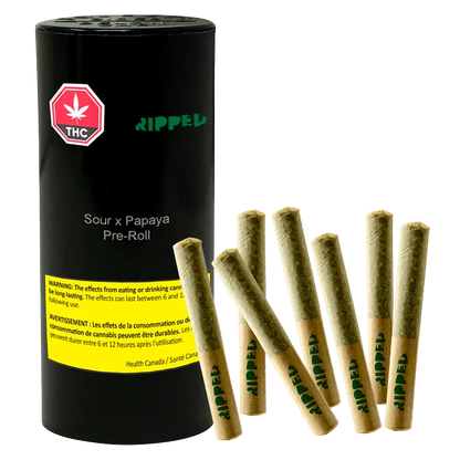 Studio-lit front view of a black cylinder and seven jointed pre-rolls labeled "Sour x Papaya PR 7 x 0.5 g" arranged on a white background.