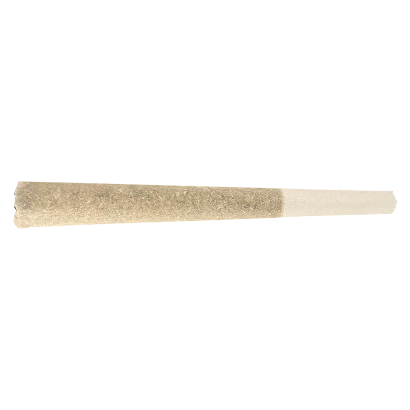 Horizontal close-up of the Dragon Pendant PR 1 x 1 g showing its textured cylindrical beige pendant against a white background