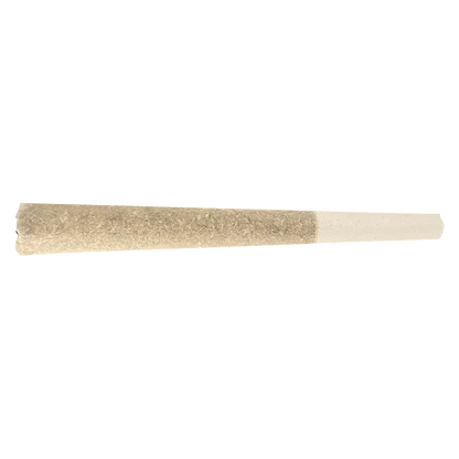 Horizontal close-up of the Dragon Pendant PR 1 x 1 g showing its textured cylindrical beige pendant against a white background
