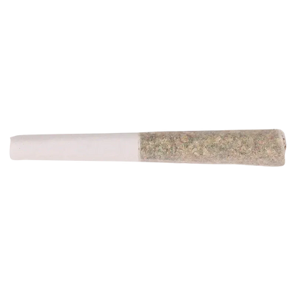 Horizontal close-up of a filled pre-roll showing the herb-packed tip and white filter, labeled Pink Slurricane PR 3 x 0.5 g.