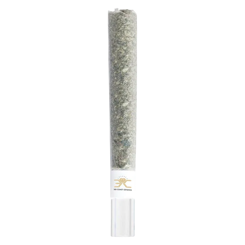 Vertical front view of the Possum Glass Tip PR 1 x 1 g pre-roll in clear plastic tube with visible greenish ground herb and white branded band.