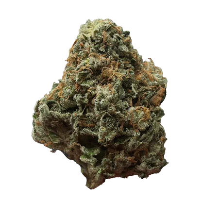 Close-up top-down view of a single dense Green Congo bud showing frosty trichomes and orange pistils against a white background.