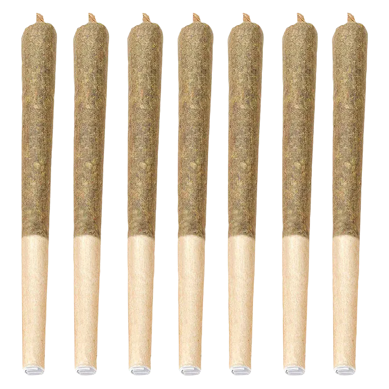 Row of seven upright Dante'z Inferno PR 7 x 0.5 g pre-rolls shown front-on with visible brown paper tips against a white background