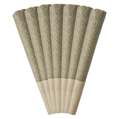 Top-down fanned arrangement of eight pre-rolled cones labeled Early Lemon Berry PR 7 x 0.5 g showing textured green papers and beige tips.