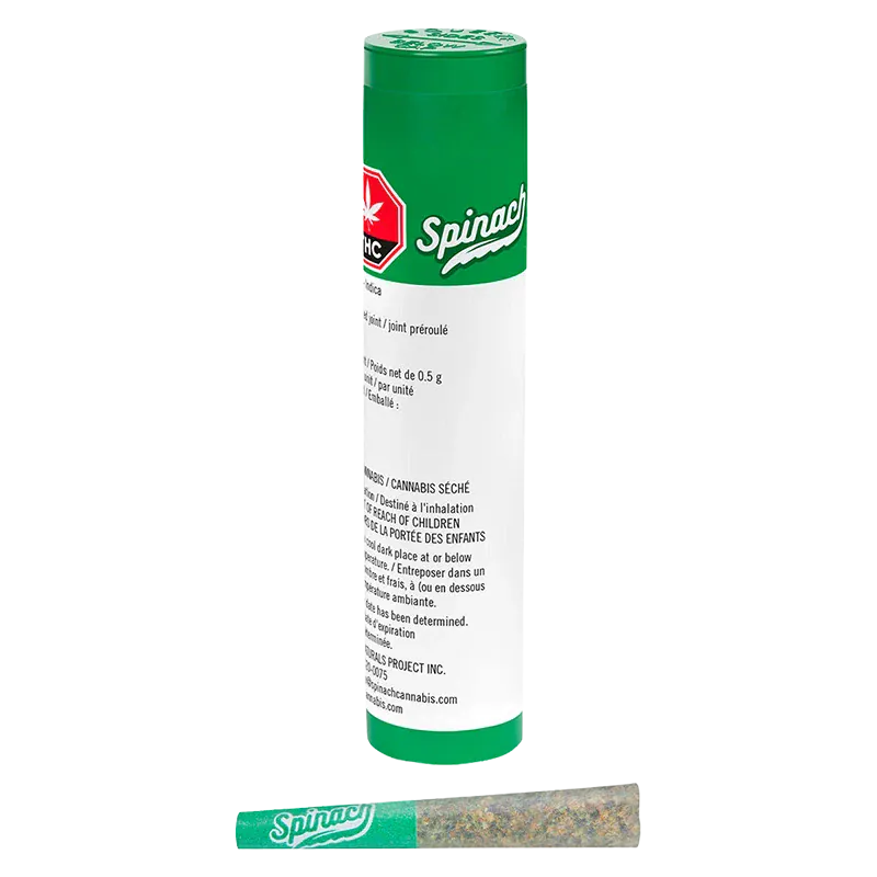 Angled front view of the green-and-white Spinach OG Kush 1 x 0.5 g tube standing behind a matching pre-roll on a white background