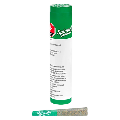 Angled front view of the green-and-white Spinach OG Kush 1 x 0.5 g tube standing behind a matching pre-roll on a white background