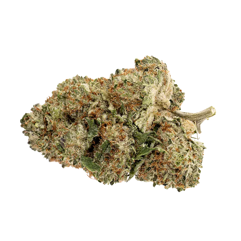 Close-up front view of a frosty, green-and-orange bud labeled Pink Rhino showing dense trichomes and a short stem.