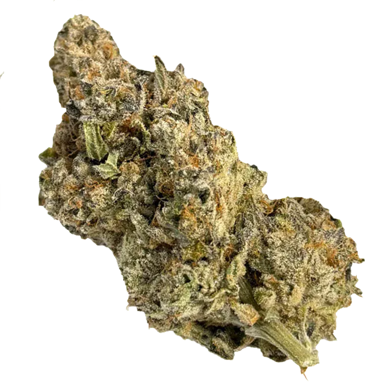 Close-up of a frosty, dense cannabis bud labeled Platinum Kush Breath showing trichome-covered green and orange hairs on a white background
