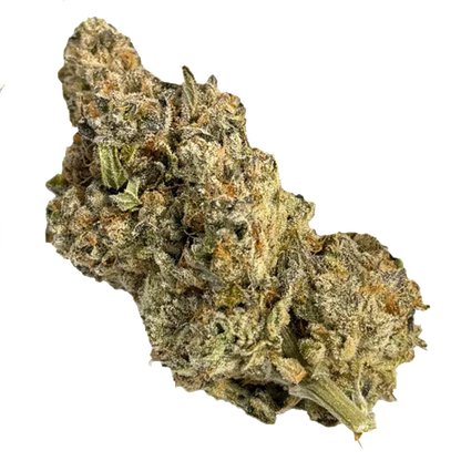 Close-up of a frosty, dense cannabis bud labeled Platinum Kush Breath showing trichome-covered green and orange hairs on a white background