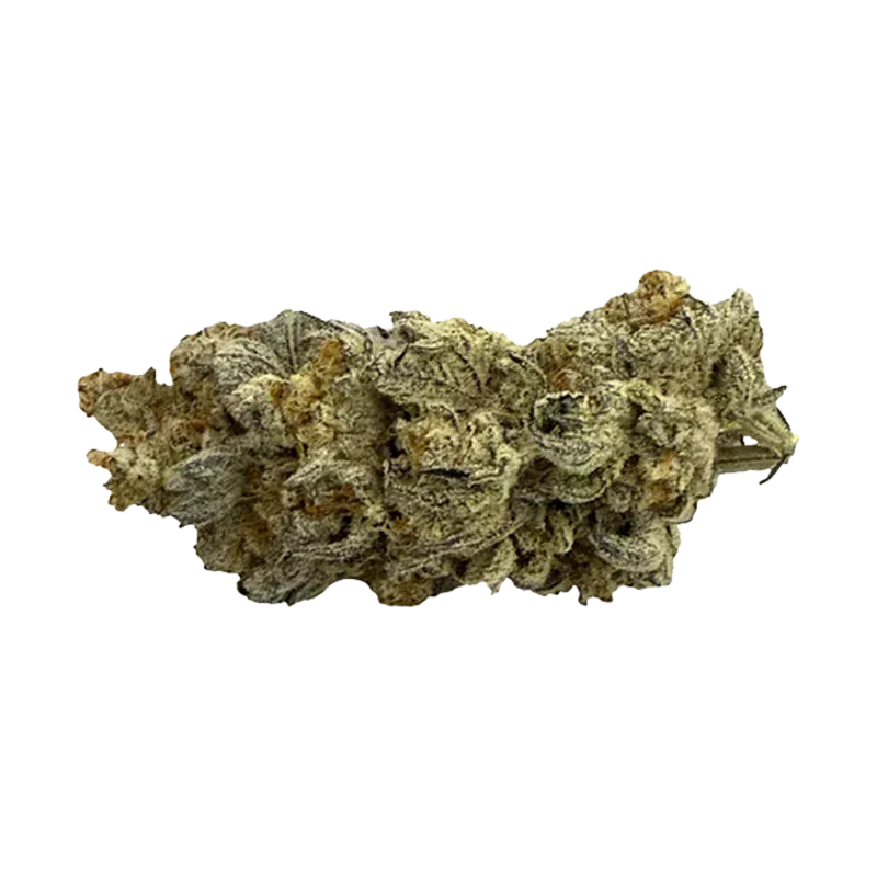 Close-up, side view of a single frosty, greenish bud of Dante's Inferno against a plain white background.