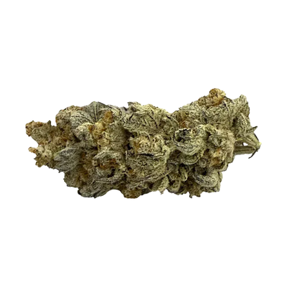 Close-up, side view of a single frosty, greenish bud of Dante's Inferno against a plain white background.
