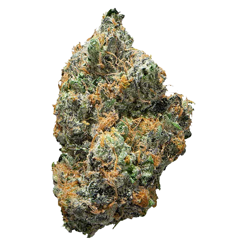 Close-up of a frosty green and orange nug photographed against a white background, labeled BC Organic Tea Time.
